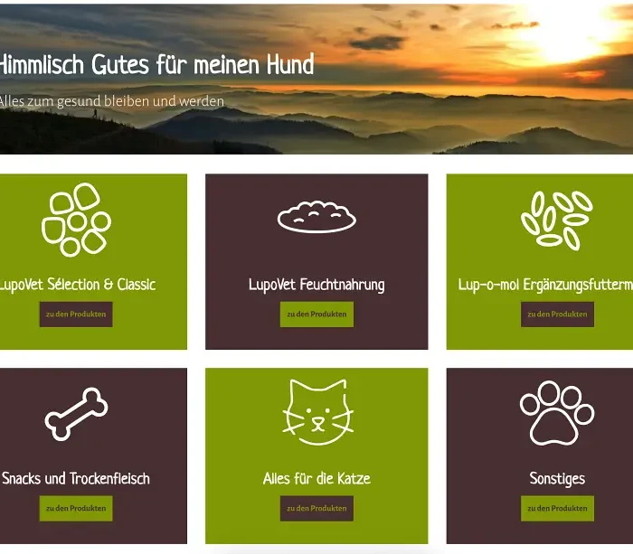 Relaunching a Premium Pet-Product Store With a Modern Commerce Platform